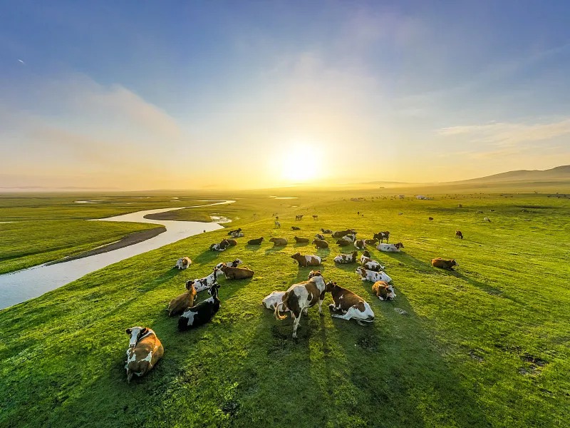 Inner Mongolia Premium Cultural Immersion Tour (12 Days 11 Nights)