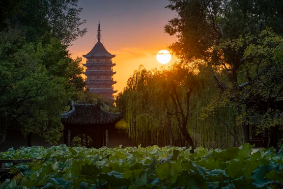 7-Day Jiangnan Water Town Culture Leisure Tour in Suzhou