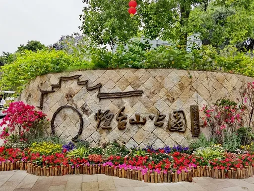 图片5
