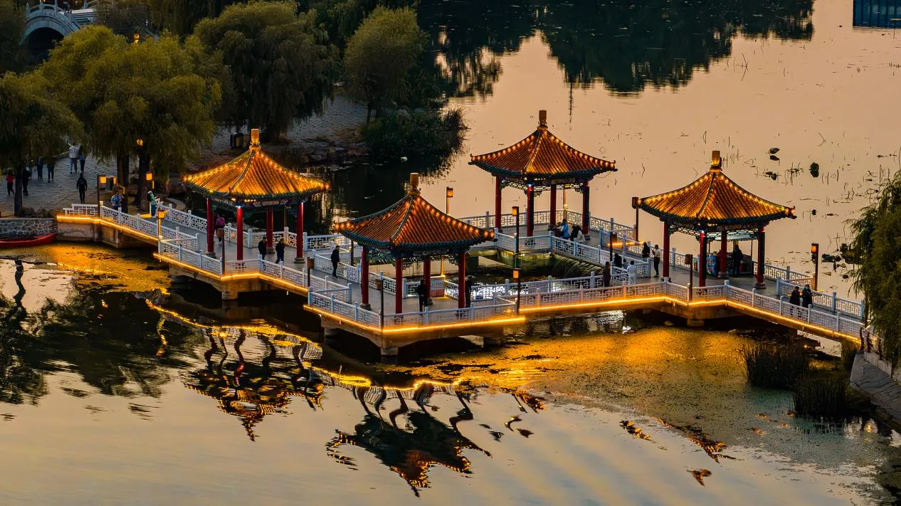 图片12 图片12
