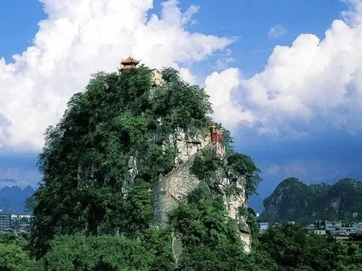 图片24.webp 图片24.webp