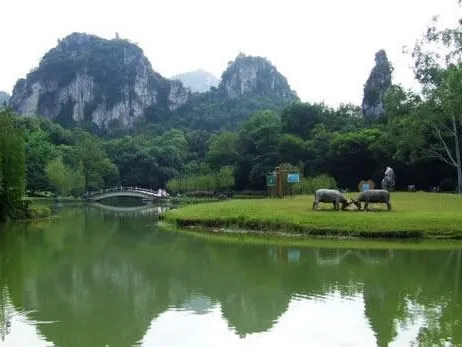 图片36.webp 图片36.webp