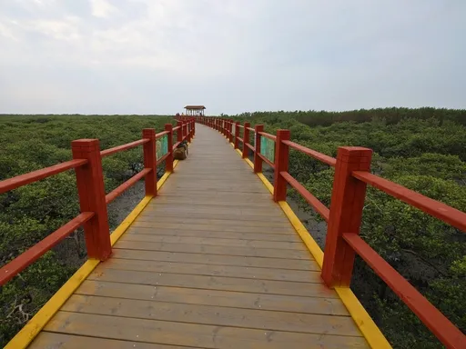 图片49.webp 图片49.webp