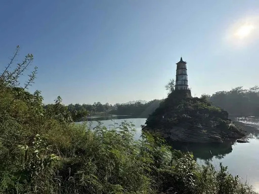 图片59.webp 图片59.webp