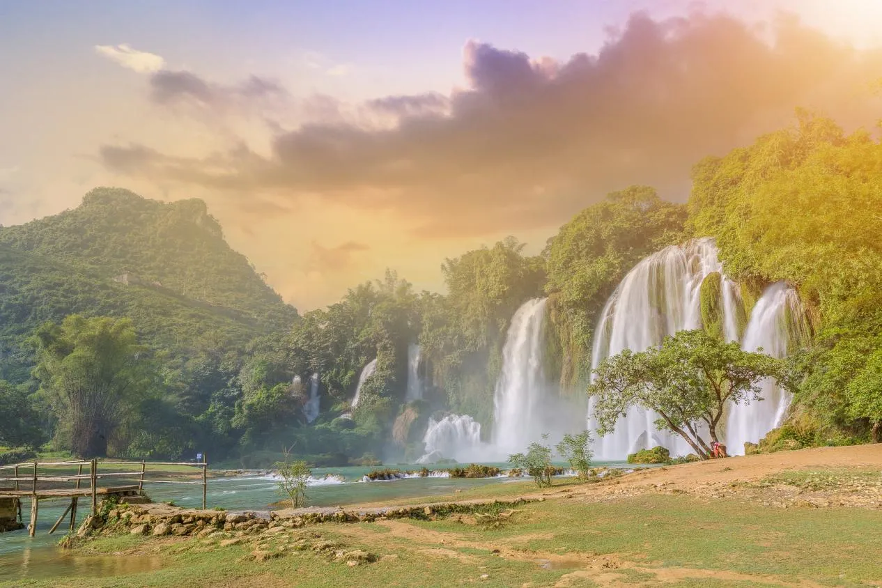 图片68.webp 图片68.webp
