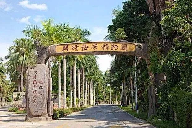 图片49.webp 图片49.webp
