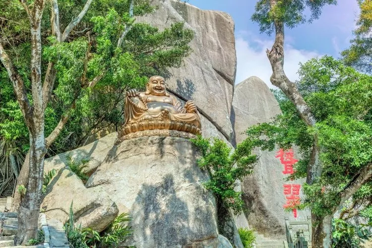 图片50.webp 图片50.webp