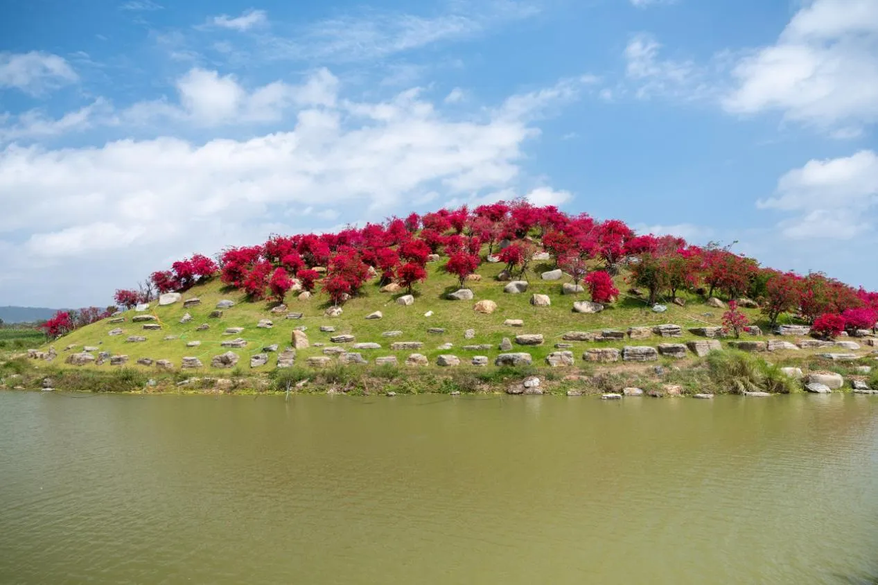 图片54.webp 图片54.webp