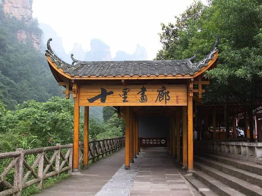 图片20.webp