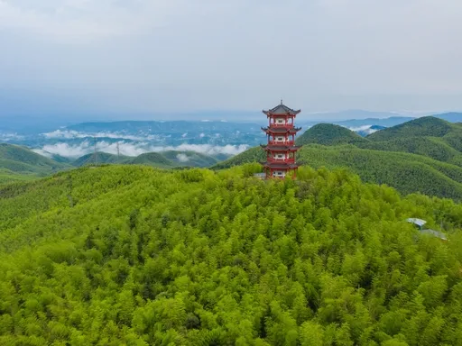 图片35.webp