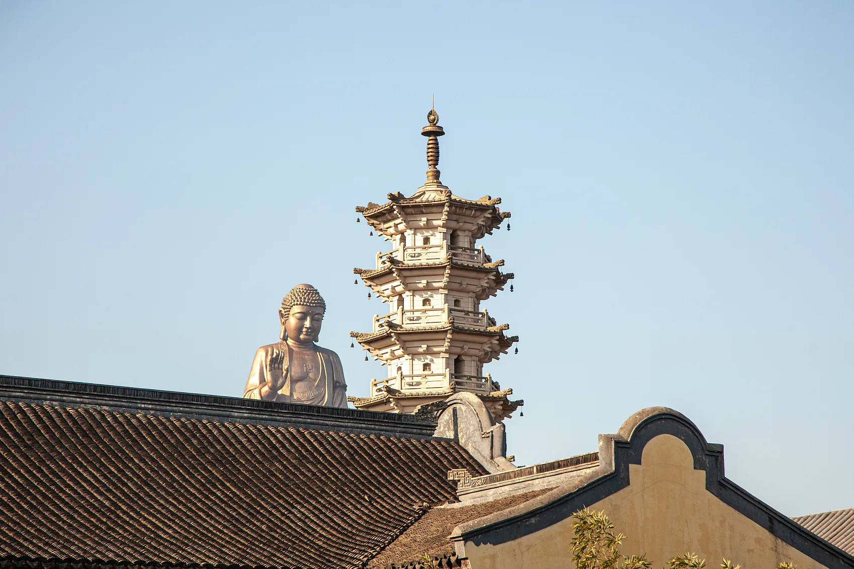 图片11.webp