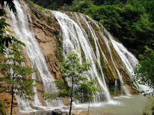 图片19.webp 图片19.webp