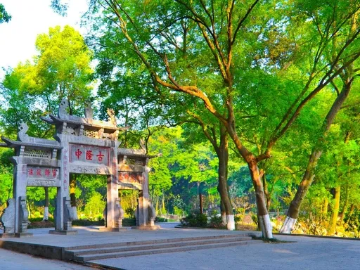 图片27.webp 图片27.webp