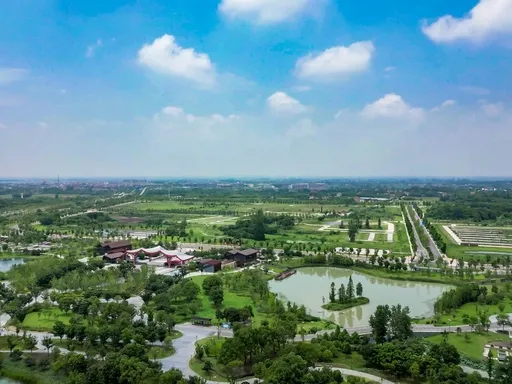 图片47.webp 图片47.webp