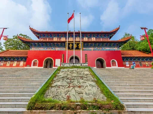 图片48.webp 图片48.webp