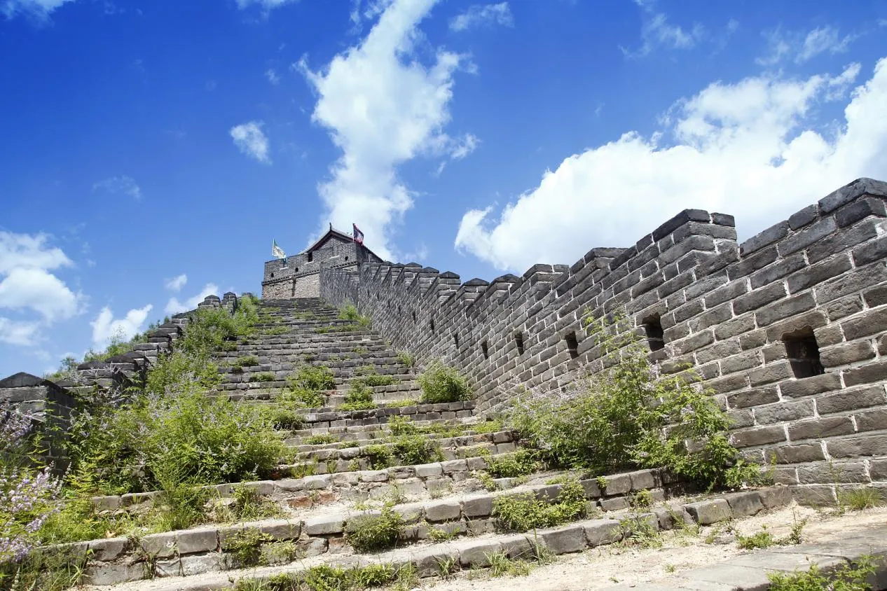 图片49.webp