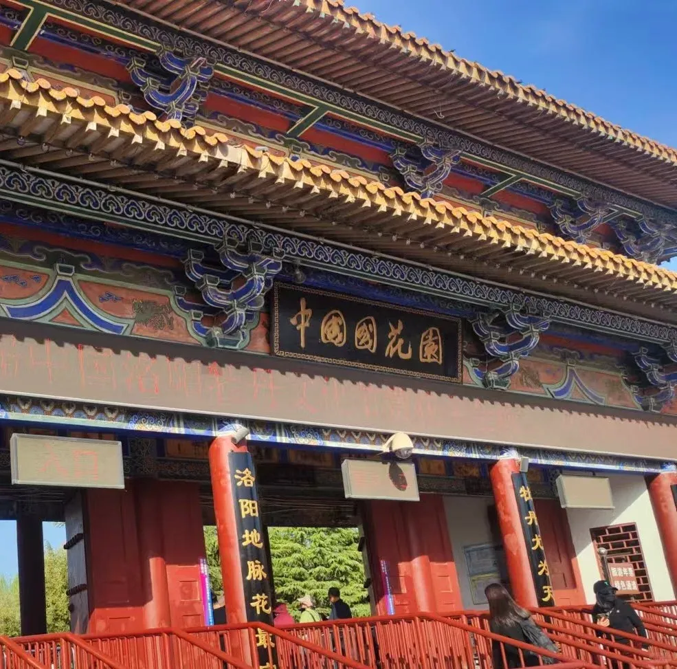 图片177.webp