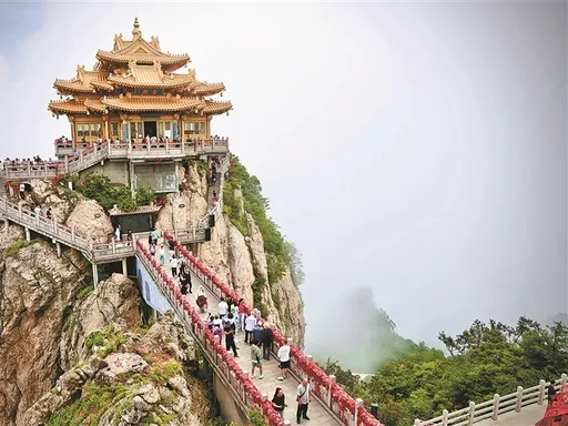 图片184.webp