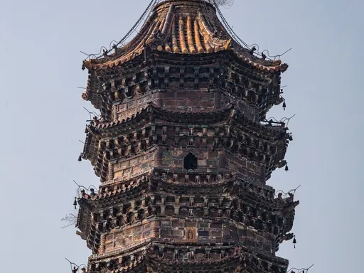 图片196.webp