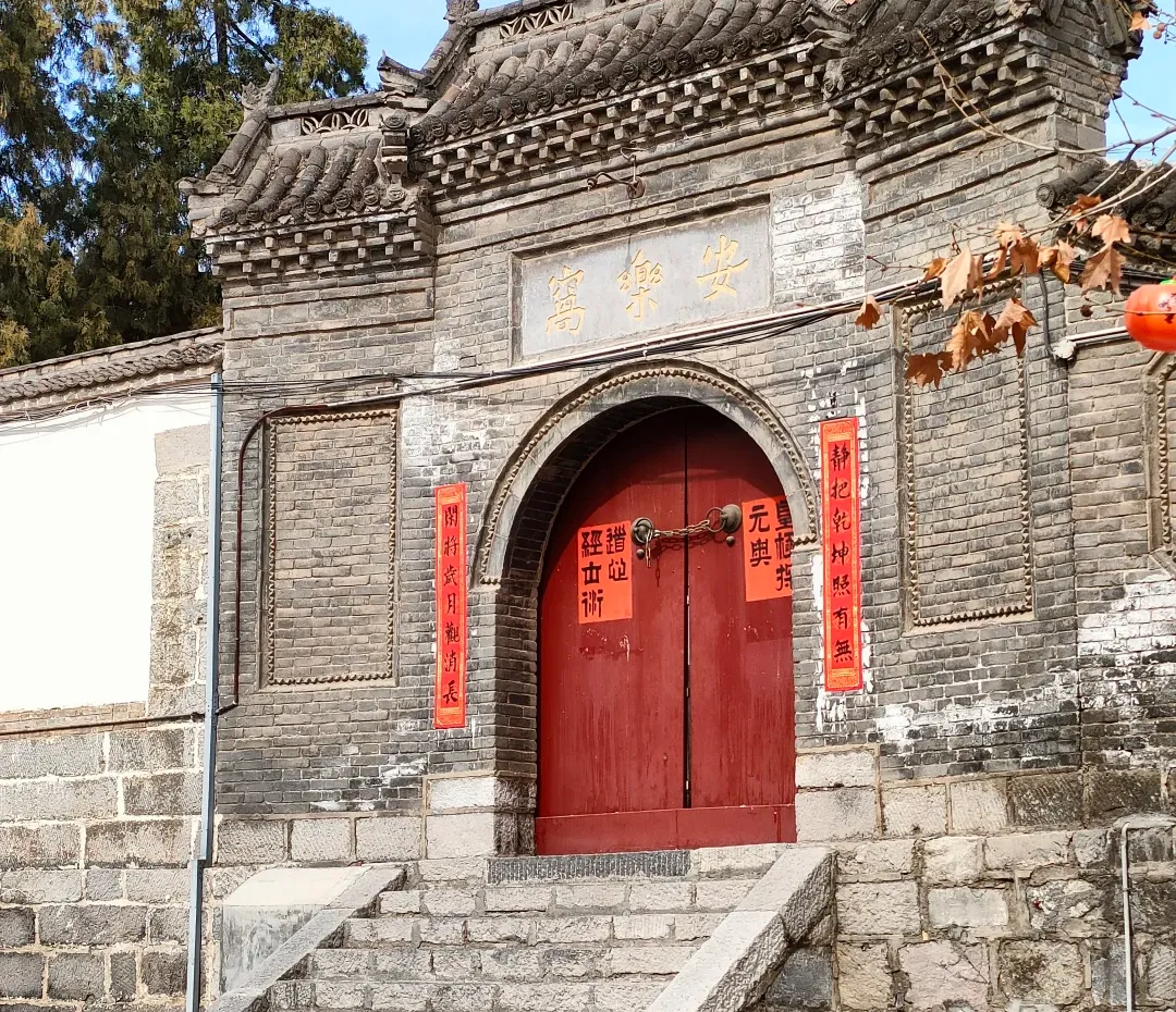 图片217.webp