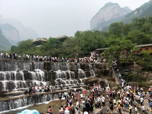 图片225.webp