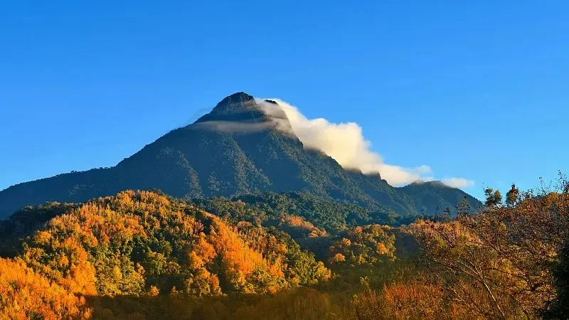 图片10.webp