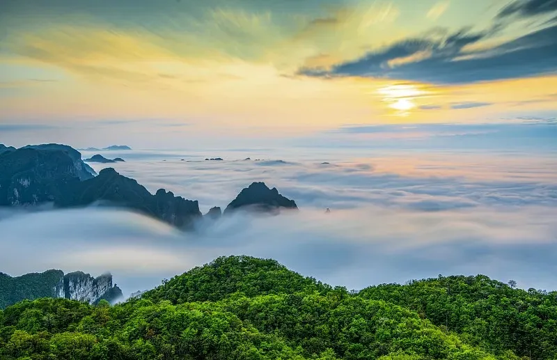 图片6.webp