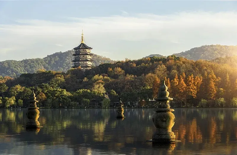 图片10.webp