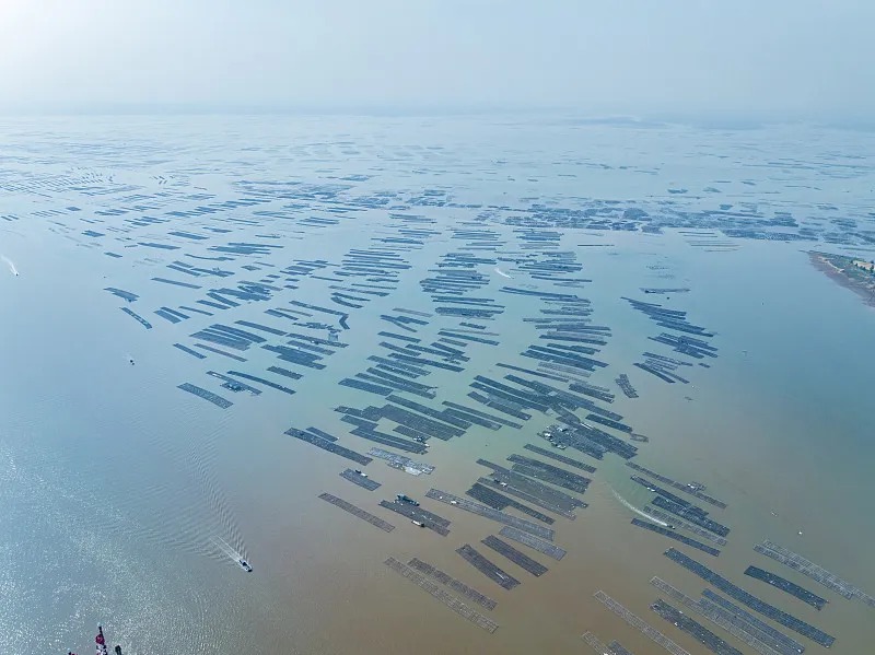 01f3de5f9f479d894ac72364f89078d3 01f3de5f9f479d894ac72364f89078d3