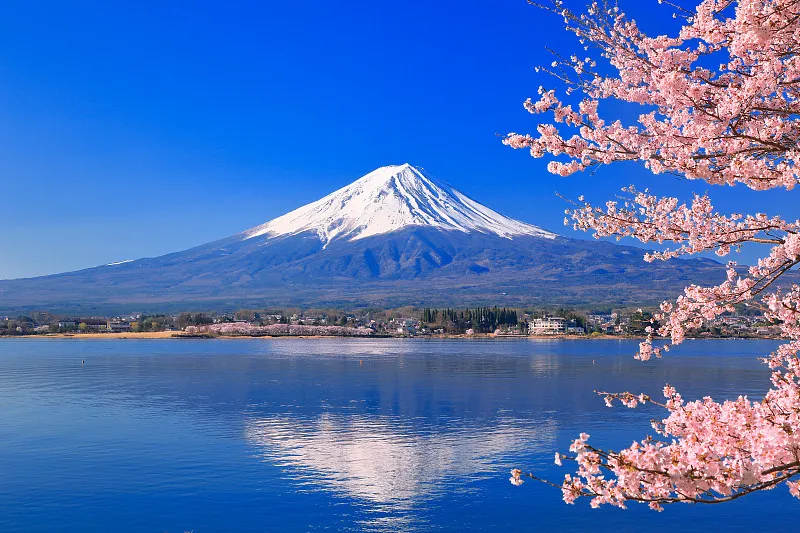 Japanese Culture
