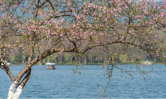 7-Day Jiangnan Chinese Poetry Cultural Theme Tour